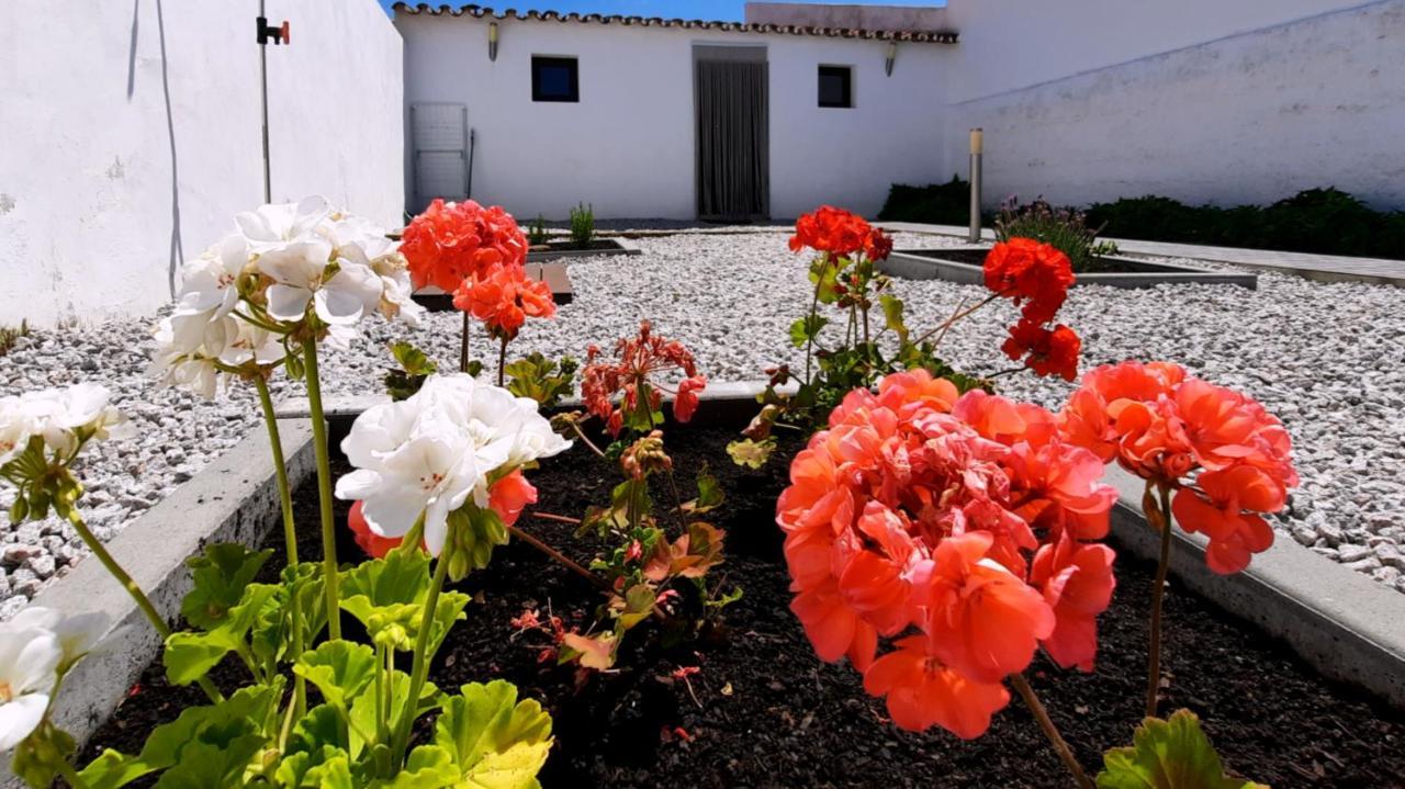 Casa Dos Vizinhos - Casas De Taipa Villa Sao Pedro do Corval Ngoại thất bức ảnh